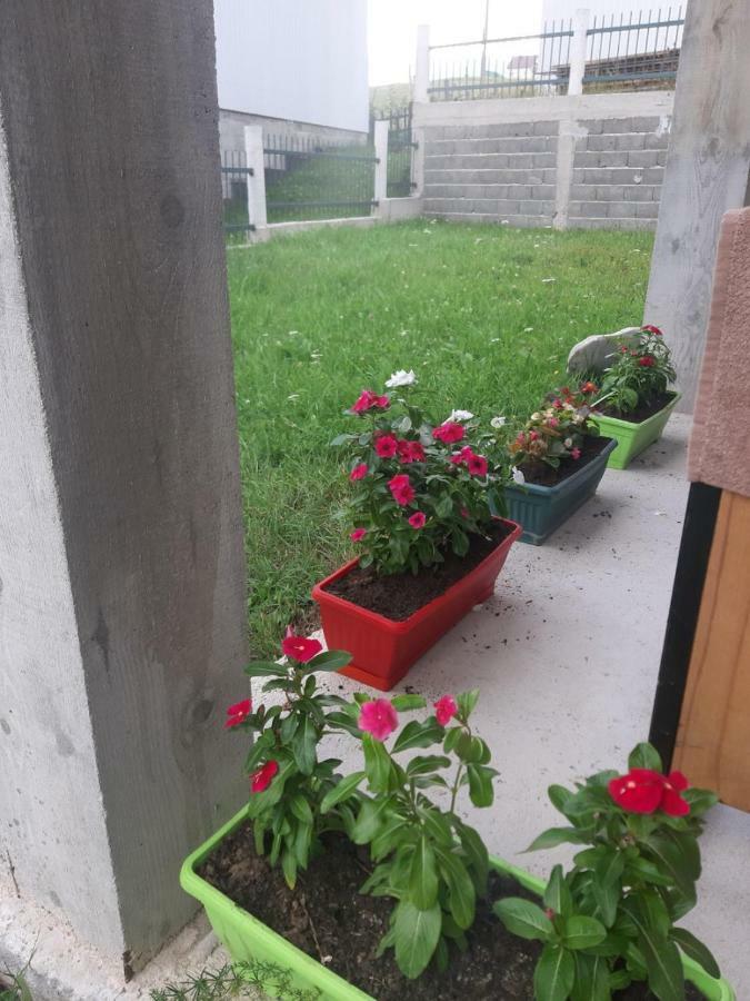 Apartments Andriyana Žabljak Esterno foto